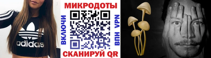 Галлюциногенные грибы Psilocybe  Ревда 